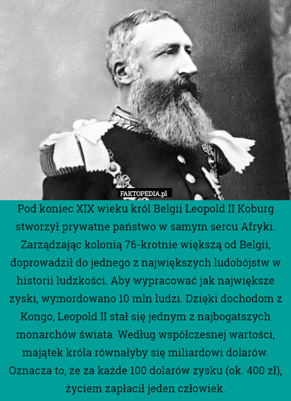Pod koniec XIX wieku król Belgii Leopold II Koburg stworzył prywatne państwo w samym sercu Afryki. Zarządzając kolonią 76-krotnie większą od Belgii, doprowadził do jednego z największych ludobójstw w historii ludzkości. Aby wypracować jak największe zyski, wymordowano 10 mln ludzi. Dzięki dochodom z Kongo, Leopold II stał się jednym z najbogatszych monarchów świata. Według współczesnej wartości, majątek króla równałyby się miliardowi dolarów. Oznacza to, że za każde 100 dolarów zysku (ok. 400 zł), życiem zapłacił jeden człowiek. 