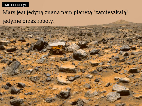 Mars jest jedyną znaną nam planetą "zamieszkałą" jedynie przez roboty. 