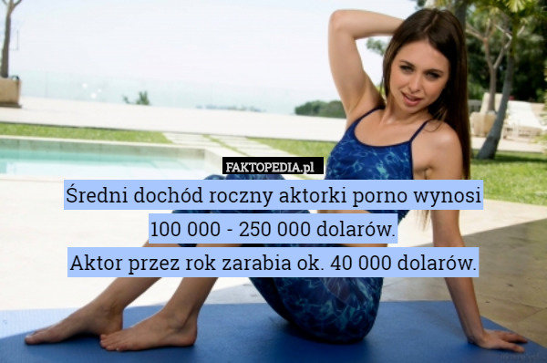 Średni dochód roczny aktorki porno wynosi
100 000 - 250 000 dolarów.
Aktor przez rok zarabia ok. 40 000 dolarów. 