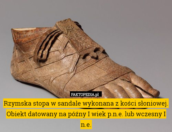 Rzymska stopa w sandale wykonana z kości słoniowej. Obiekt datowany na późny I wiek p.n.e. lub wczesny I n.e. 