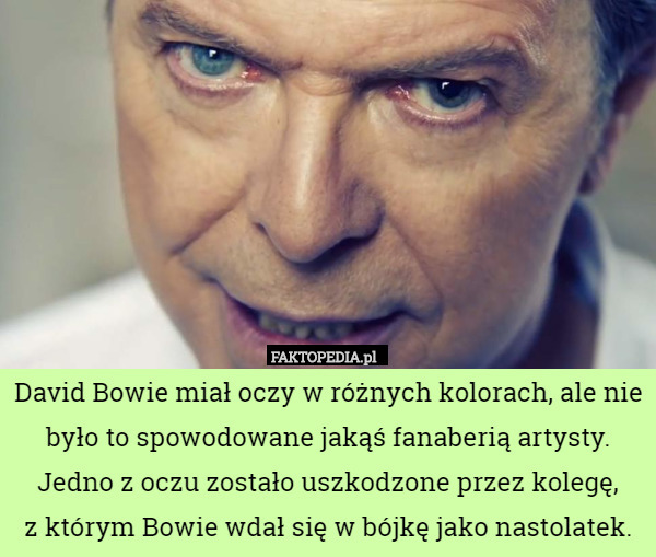 David Bowie miał oczy w różnych kolorach, ale nie było to spowodowane jakąś fanaberią artysty. Jedno z oczu zostało uszkodzone przez kolegę,
 z którym Bowie wdał się w bójkę jako nastolatek. 