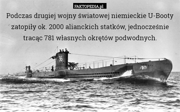 Podczas drugiej wojny światowej niemieckie U-Booty zatopiły ok. 2000 alianckich statków, jednocześnie tracąc 781 własnych okrętów podwodnych. 