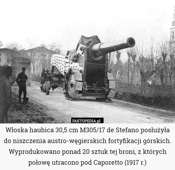 Włoska haubica 30,5 cm M305/17 de Stefano posłużyła do niszczenia austro-węgierskich fortyfikacji górskich. Wyprodukowano ponad 20 sztuk tej broni, z których połowę utracono pod Caporetto (1917 r.) 