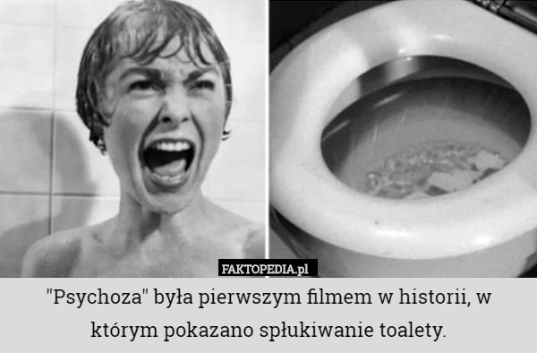"Psychoza" była pierwszym filmem w historii, w którym pokazano spłukiwanie toalety. 