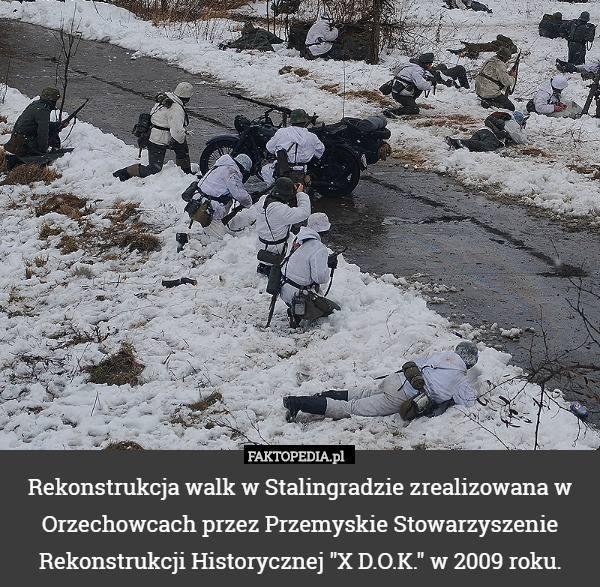 Rekonstrukcja walk w Stalingradzie zrealizowana w Orzechowcach przez Przemyskie Stowarzyszenie Rekonstrukcji Historycznej "X D.O.K." w 2009 roku. 