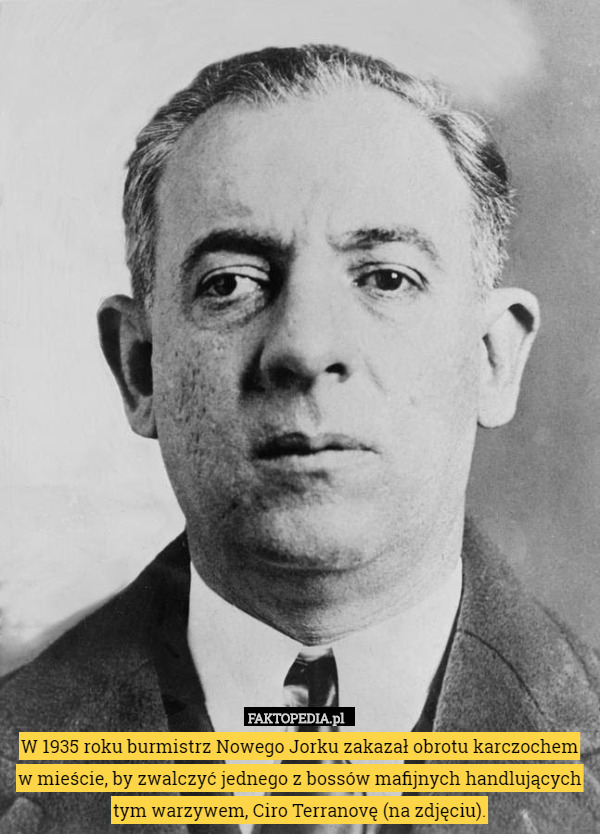 W 1935 roku burmistrz Nowego Jorku zakazał obrotu karczochem w mieście, by zwalczyć jednego z bossów mafijnych handlujących tym warzywem, Ciro Terranovę (na zdjęciu). 