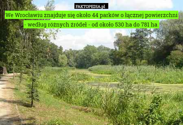 We Wrocławiu znajduje się około 44 parków o łącznej powierzchni
 - według różnych źródeł - od około 530 ha do 781 ha. 
