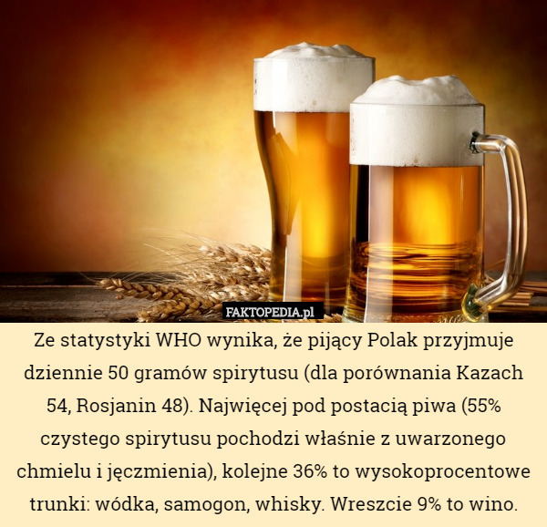 Ze statystyki WHO wynika, że pijący Polak przyjmuje dziennie 50 gramów spirytusu (dla porównania Kazach 54, Rosjanin 48). Najwięcej pod postacią piwa (55% czystego spirytusu pochodzi właśnie z uwarzonego chmielu i jęczmienia), kolejne 36% to wysokoprocentowe trunki: wódka, samogon, whisky. Wreszcie 9% to wino. 