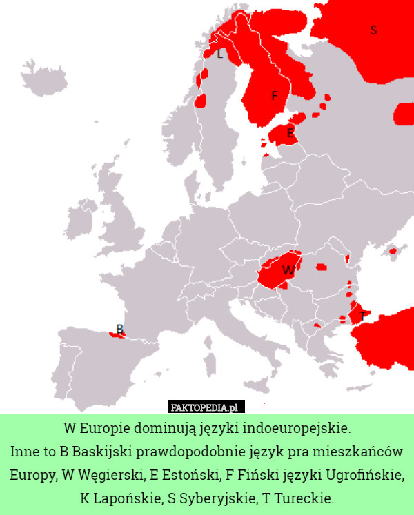 W Europie dominują języki indoeuropejskie.
Inne to B Baskijski prawdopodobnie język pra mieszkańców Europy, W Węgierski, E Estoński, F Fiński języki Ugrofińskie, K Lapońskie, S Syberyjskie, T Tureckie. 