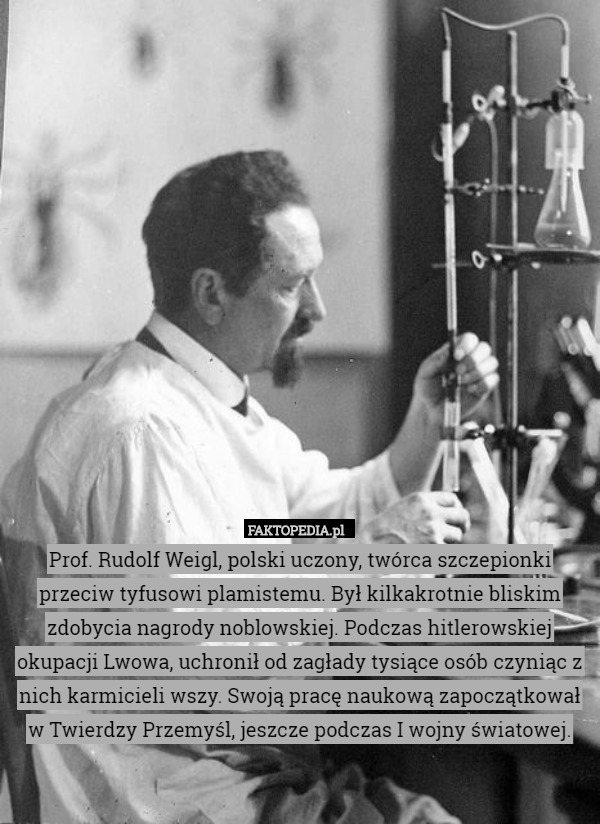 Prof. Rudolf Weigl, polski uczony, twórca szczepionki przeciw tyfusowi plamistemu. Był kilkakrotnie bliskim zdobycia nagrody noblowskiej. Podczas hitlerowskiej okupacji Lwowa, uchronił od zagłady tysiące osób czyniąc z nich karmicieli wszy. Swoją pracę naukową zapoczątkował w Twierdzy Przemyśl, jeszcze podczas I wojny światowej. 