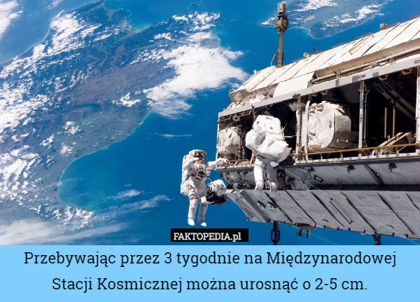Przebywając przez 3 tygodnie na Międzynarodowej Stacji Kosmicznej można urosnąć o 2-5 cm. 