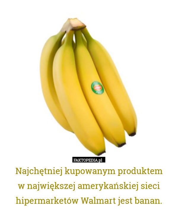 Najchętniej kupowanym produktem
w największej amerykańskiej sieci hipermarketów Walmart jest banan. 
