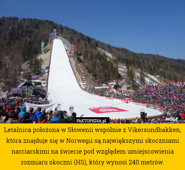 Letalnica położona w Słowenii wspólnie z Vikersundbakken, która znajduje się w Norwegii są największymi skoczniami narciarskimi na świecie pod względem umiejscowienia rozmiaru skoczni (HS), który wynosi 240 metrów. 