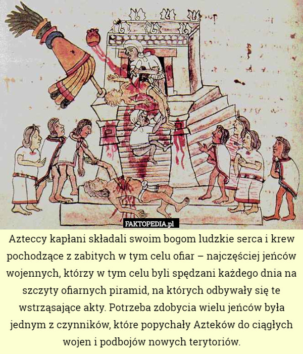 Azteccy kapłani składali swoim bogom ludzkie serca i krew pochodzące z zabitych w tym celu ofiar – najczęściej jeńców wojennych, którzy w tym celu byli spędzani każdego dnia na szczyty ofiarnych piramid, na których odbywały się te wstrząsające akty. Potrzeba zdobycia wielu jeńców była jednym z czynników, które popychały Azteków do ciągłych wojen i podbojów nowych terytoriów. 