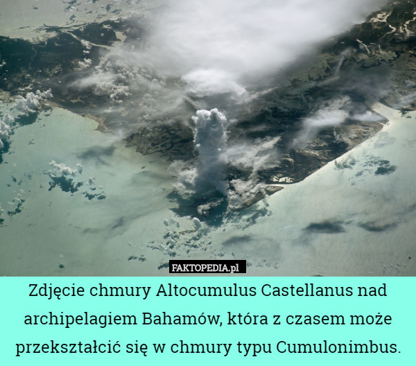 Zdjęcie chmury Altocumulus Castellanus nad archipelagiem Bahamów, która z czasem może przekształcić się w chmury typu Cumulonimbus. 