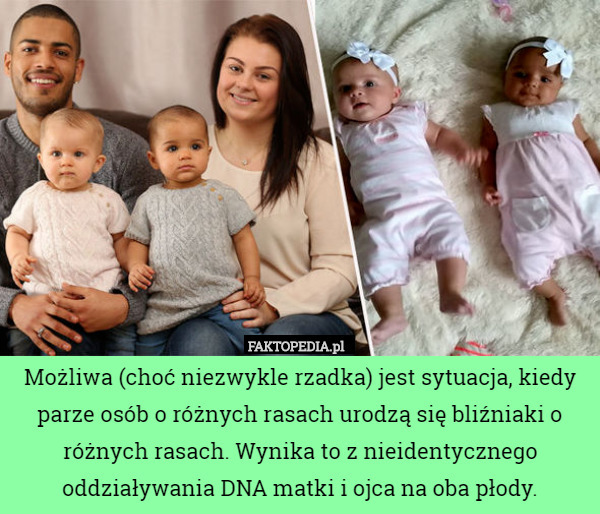 Możliwa (choć niezwykle rzadka) jest sytuacja, kiedy parze osób o różnych rasach urodzą się bliźniaki o różnych rasach. Wynika to z nieidentycznego oddziaływania DNA matki i ojca na oba płody. 