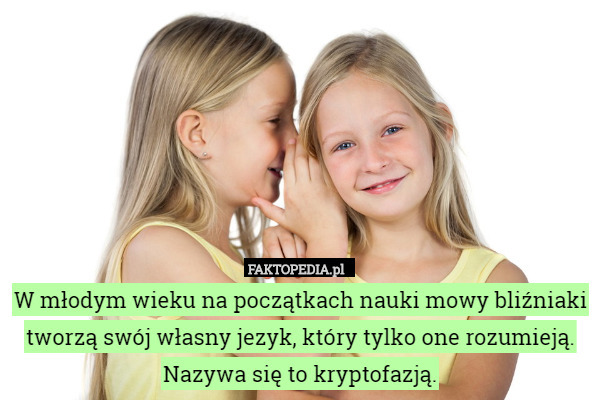 W młodym wieku na początkach nauki mowy bliźniaki tworzą swój własny jezyk, który tylko one rozumieją. Nazywa się to kryptofazją. 