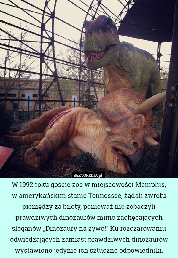 W 1992 roku goście zoo w miejscowości Memphis,
w amerykańskim stanie Tennessee, żądali zwrotu pieniędzy za bilety, ponieważ nie zobaczyli prawdziwych dinozaurów mimo zachęcających sloganów „Dinozaury na żywo!” Ku rozczarowaniu odwiedzających zamiast prawdziwych dinozaurów wystawiono jedynie ich sztuczne odpowiedniki. 