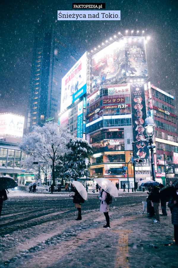 Śnieżyca nad Tokio. 