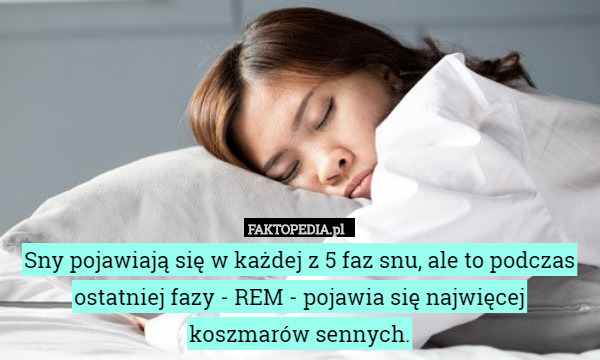 Sny pojawiają się w każdej z 5 faz snu, ale to podczas ostatniej fazy - REM - pojawia się najwięcej koszmarów sennych. 