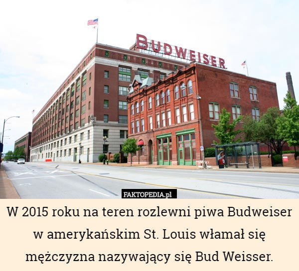 W 2015 roku na teren rozlewni piwa Budweiser
w amerykańskim St. Louis włamał się mężczyzna nazywający się Bud Weisser. 