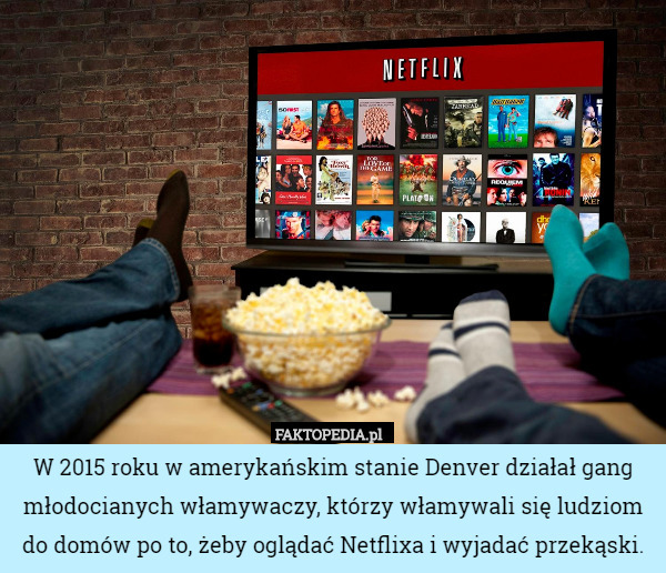 W 2015 roku w amerykańskim stanie Denver działał gang młodocianych włamywaczy, którzy włamywali się ludziom do domów po to, żeby oglądać Netflixa i wyjadać przekąski. 