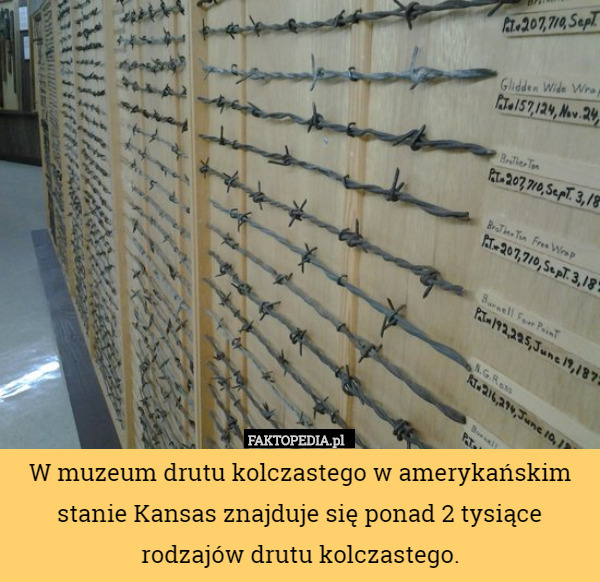 W muzeum drutu kolczastego w amerykańskim stanie Kansas znajduje się ponad 2 tysiące rodzajów drutu kolczastego. 