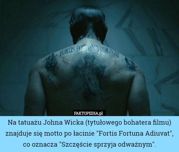 Na tatuażu Johna Wicka (tytułowego bohatera filmu) znajduje się motto po łacinie "Fortis Fortuna Adiuvat", co oznacza "Szczęście sprzyja odważnym". 