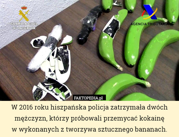 W 2016 roku hiszpańska policja zatrzymała dwóch mężczyzn, którzy próbowali przemycać kokainę
w wykonanych z tworzywa sztucznego bananach. 