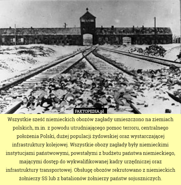 Wszystkie sześć niemieckich obozów zagłady umieszczono na ziemiach polskich, m.in. z powodu utrudniającego pomoc terroru, centralnego położenia Polski, dużej populacji żydowskiej oraz wystarczającej infrastruktury kolejowej. Wszystkie obozy zagłady były niemieckimi instytucjami państwowymi, powstałymi z budżetu państwa niemieckiego, mającymi dostęp do wykwalifikowanej kadry urzędniczej oraz infrastruktury transportowej. Obsługę obozów rekrutowano z niemieckich żołnierzy SS lub z batalionów żołnierzy państw sojuszniczych. 