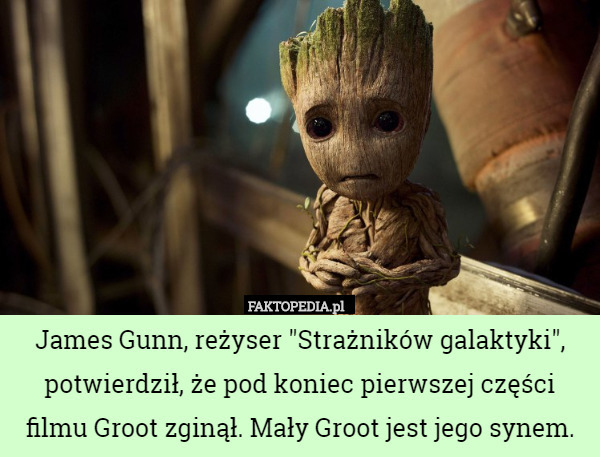 James Gunn, reżyser "Strażników galaktyki", potwierdził, że pod koniec pierwszej części filmu Groot zginął. Mały Groot jest jego synem. 