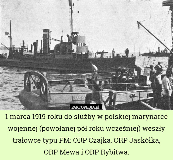 1 marca 1919 roku do służby w polskiej marynarce wojennej (powołanej pół roku wcześniej) weszły trałowce typu FM: ORP Czajka, ORP Jaskółka,
 ORP Mewa i ORP Rybitwa. 