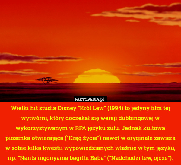 Wielki hit studia Disney "Król Lew" (1994) to jedyny film tej wytwórni, który doczekał się wersji dubbingowej w wykorzystywanym w RPA języku zulu. Jednak kultowa piosenka otwierająca ("Krąg życia") nawet w oryginale zawiera w sobie kilka kwestii wypowiedzianych właśnie w tym języku, np. "Nants ingonyama bagithi Baba" ("Nadchodzi lew, ojcze"). 