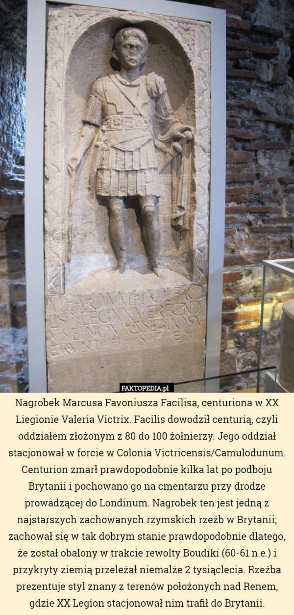 Nagrobek Marcusa Favoniusza Facilisa, centuriona w XX Liegionie Valeria Victrix. Facilis dowodził centurią, czyli oddziałem złożonym z 80 do 100 żołnierzy. Jego oddział stacjonował w forcie w Colonia Victricensis/Camulodunum.
Centurion zmarł prawdopodobnie kilka lat po podboju Brytanii i pochowano go na cmentarzu przy drodze prowadzącej do Londinum. Nagrobek ten jest jedną z najstarszych zachowanych rzymskich rzeźb w Brytanii; zachował się w tak dobrym stanie prawdopodobnie dlatego, że został obalony w trakcie rewolty Boudiki (60-61 n.e.) i przykryty ziemią przeleżał niemalże 2 tysiąclecia. Rzeźba prezentuje styl znany z terenów położonych nad Renem, gdzie XX Legion stacjonował nim trafił do Brytanii. 