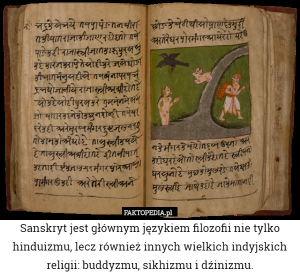 Sanskryt jest głównym językiem filozofii nie tylko hinduizmu, lecz również innych wielkich indyjskich religii: buddyzmu, sikhizmu i dźinizmu. 
