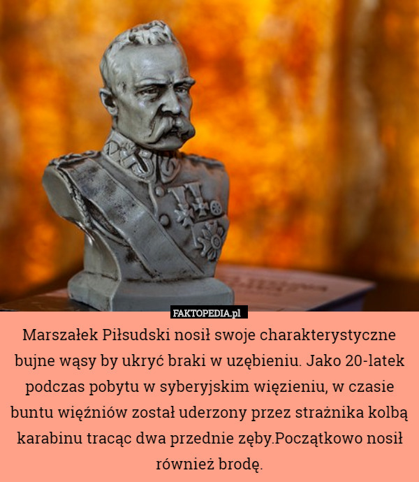 Marszałek Piłsudski nosił swoje charakterystyczne bujne wąsy by ukryć braki w uzębieniu. Jako 20-latek podczas pobytu w syberyjskim więzieniu, w czasie buntu więźniów został uderzony przez strażnika kolbą karabinu tracąc dwa przednie zęby.Początkowo nosił również brodę. 