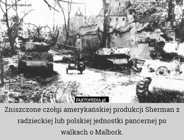 Zniszczone czołgi amerykańskiej produkcji Sherman z radzieckiej lub polskiej jednostki pancernej po walkach o Malbork. 