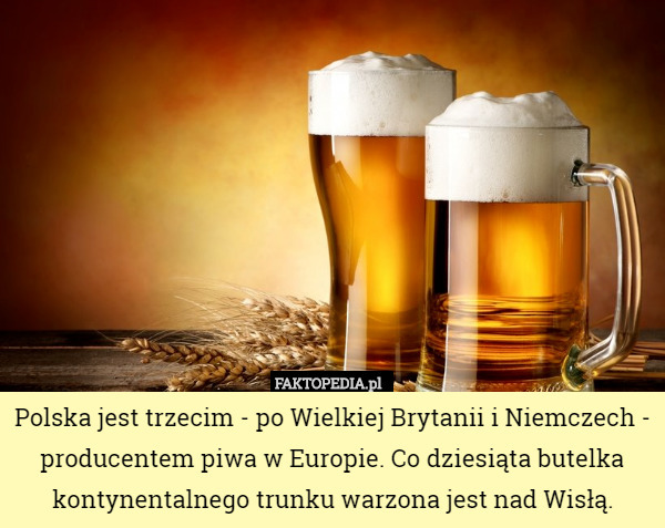 Polska jest trzecim - po Wielkiej Brytanii i Niemczech - producentem piwa w Europie. Co dziesiąta butelka kontynentalnego trunku warzona jest nad Wisłą. 