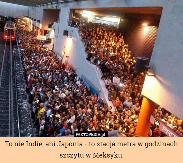 To nie Indie, ani Japonia - to stacja metra w godzinach szczytu w Meksyku. 