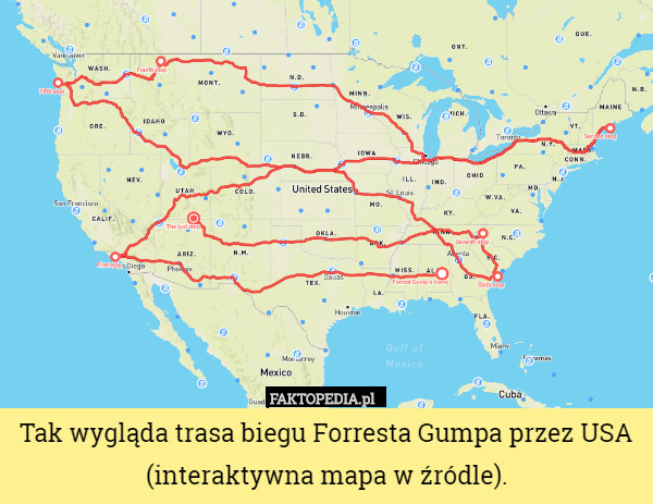 Tak wygląda trasa biegu Forresta Gumpa przez USA (interaktywna mapa w źródle). 