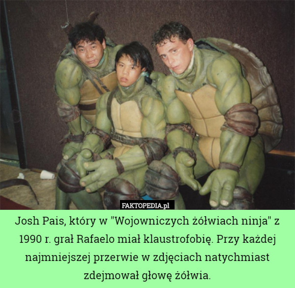 Josh Pais, który w "Wojowniczych żółwiach ninja" z 1990 r. grał Rafaelo miał klaustrofobię. Przy każdej najmniejszej przerwie w zdjęciach natychmiast zdejmował głowę żółwia. 