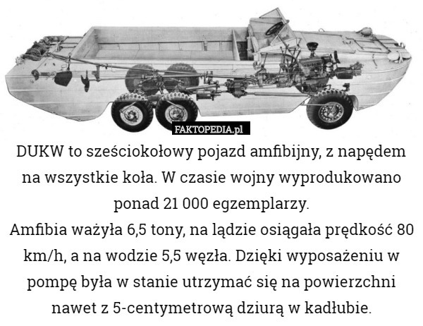 DUKW to sześciokołowy pojazd amfibijny, z napędem na wszystkie koła. W czasie wojny wyprodukowano ponad 21 000 egzemplarzy.
Amfibia ważyła 6,5 tony, na lądzie osiągała prędkość 80 km/h, a na wodzie 5,5 węzła. Dzięki wyposażeniu w pompę była w stanie utrzymać się na powierzchni nawet z 5-centymetrową dziurą w kadłubie. 