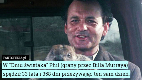 W "Dniu świstaka" Phil (grany przez Billa Murraya) spędził 33 lata i 358 dni przeżywając ten sam dzień. 