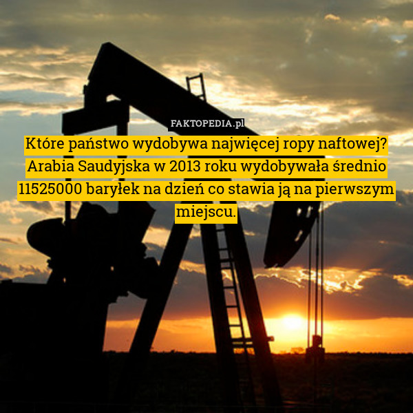 Które państwo wydobywa najwięcej ropy naftowej?
Arabia Saudyjska w 2013 roku wydobywała średnio 11525000 baryłek na dzień co stawia ją na pierwszym miejscu. 