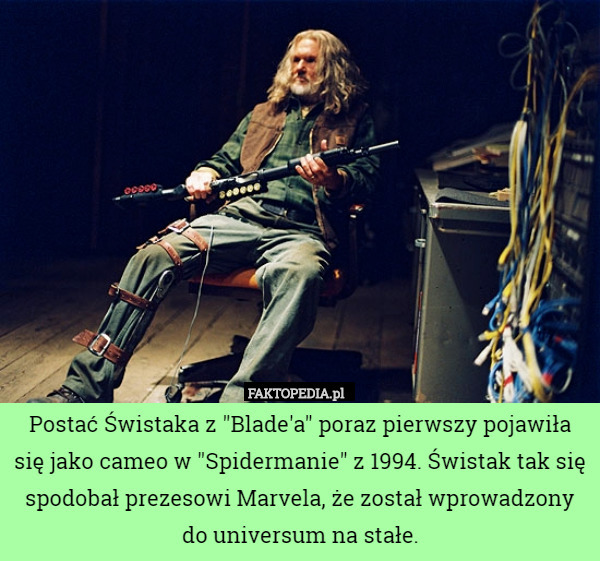 Postać Świstaka z "Blade'a" poraz pierwszy pojawiła się jako cameo w "Spidermanie" z 1994. Świstak tak się spodobał prezesowi Marvela, że został wprowadzony do universum na stałe. 