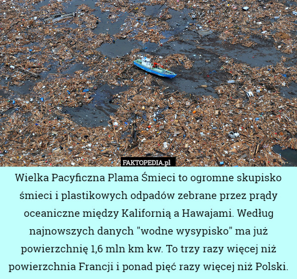 Wielka Pacyficzna Plama Śmieci to ogromne skupisko śmieci i plastikowych odpadów zebrane przez prądy oceaniczne między Kalifornią a Hawajami. Według najnowszych danych "wodne wysypisko" ma już powierzchnię 1,6 mln km kw. To trzy razy więcej niż powierzchnia Francji i ponad pięć razy więcej niż Polski. 