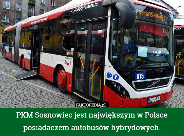 PKM Sosnowiec jest największym w Polsce posiadaczem autobusów hybrydowych. 