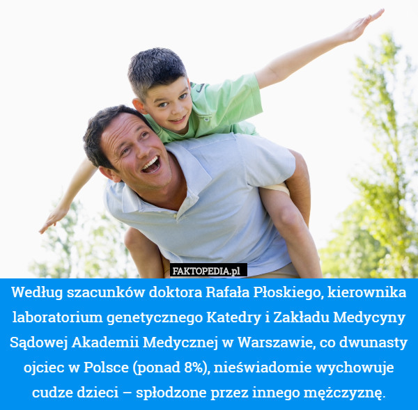 Według szacunków doktora Rafała Płoskiego, kierownika laboratorium genetycznego Katedry i Zakładu Medycyny Sądowej Akademii Medycznej w Warszawie, co dwunasty ojciec w Polsce (ponad 8%), nieświadomie wychowuje cudze dzieci – spłodzone przez innego mężczyznę. 