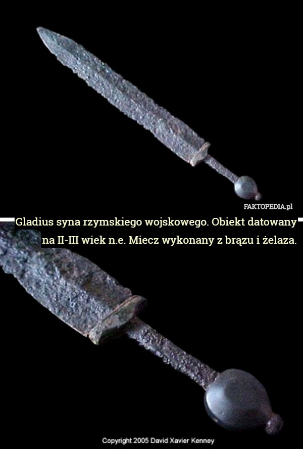 Gladius syna rzymskiego wojskowego. Obiekt datowany na II-III wiek n.e. Miecz wykonany z brązu i żelaza. 