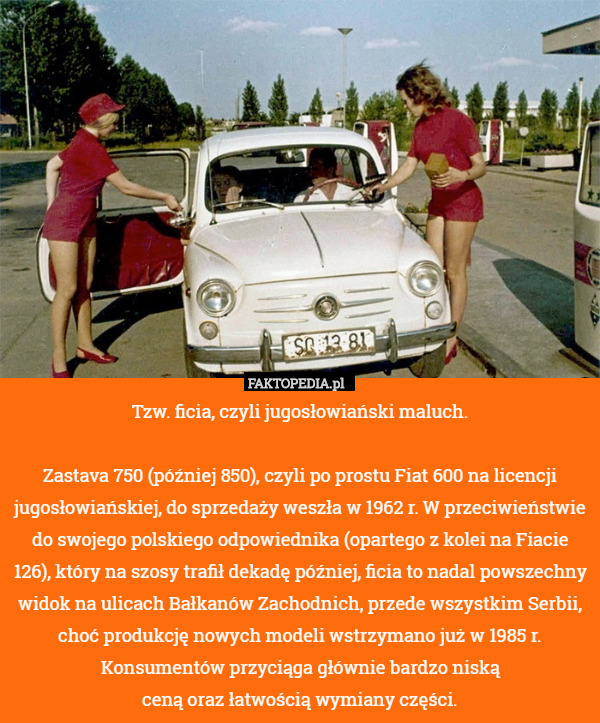 Tzw. ficia, czyli jugosłowiański maluch.

Zastava 750 (później 850), czyli po prostu Fiat 600 na licencji jugosłowiańskiej, do sprzedaży weszła w 1962 r. W przeciwieństwie do swojego polskiego odpowiednika (opartego z kolei na Fiacie 126), który na szosy trafił dekadę później, ficia to nadal powszechny widok na ulicach Bałkanów Zachodnich, przede wszystkim Serbii, choć produkcję nowych modeli wstrzymano już w 1985 r. Konsumentów przyciąga głównie bardzo niską
ceną oraz łatwością wymiany części. 